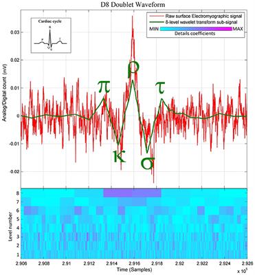 Bursting Rate Variability